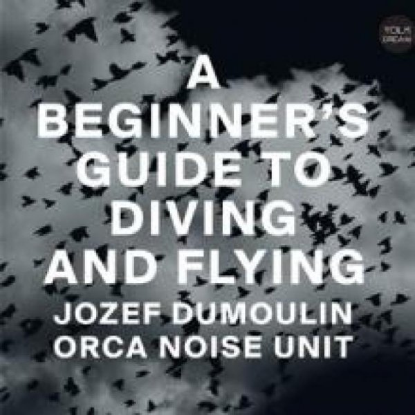 A beginner's guide to diving & flying