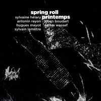 Spring roll / Printemps