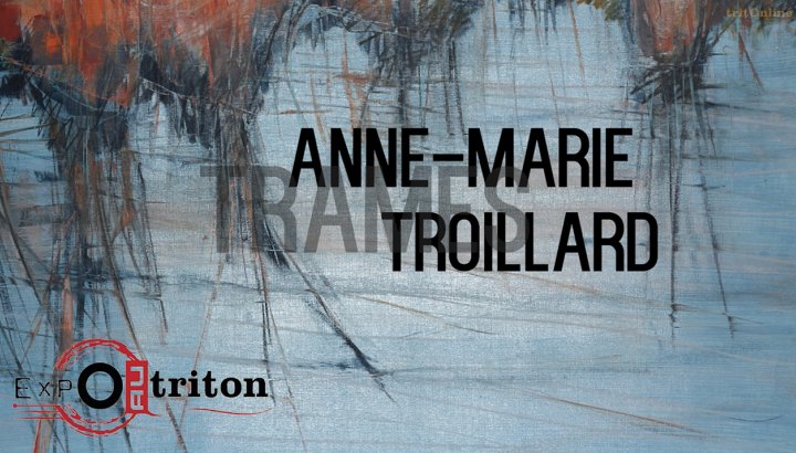 Expo au Triton - Anne-Marie Troillard