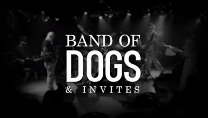 RETROSPECTIVE BAND OF DOGS
